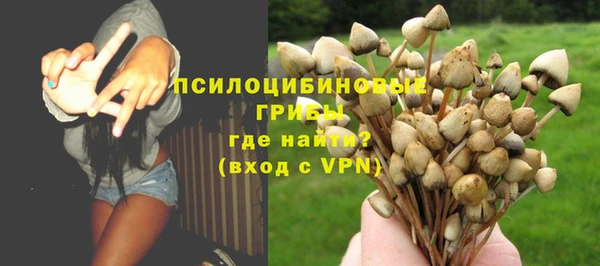 дживик Богородицк