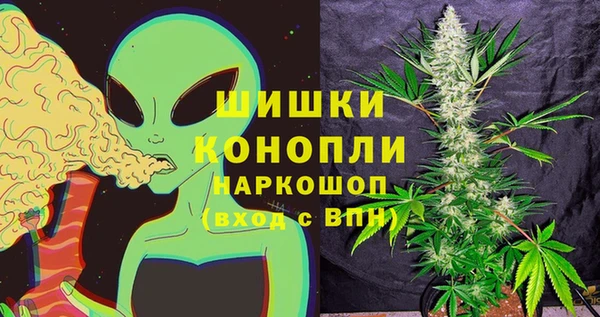 дживик Богородицк