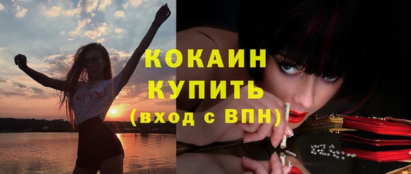 ECSTASY Богданович