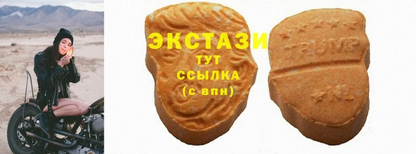 дживик Богородицк