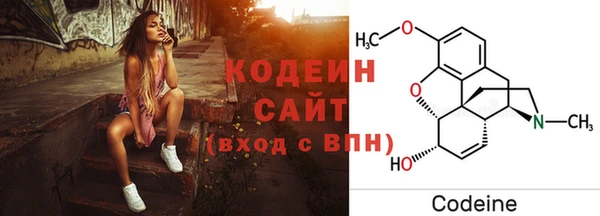 ECSTASY Богданович