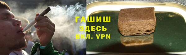 ECSTASY Богданович
