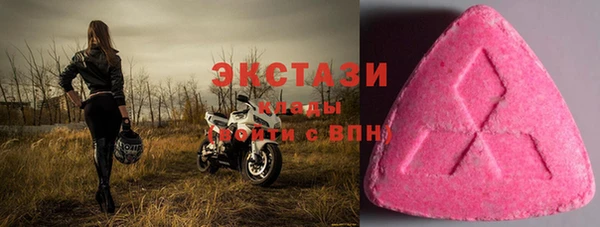 ECSTASY Богданович