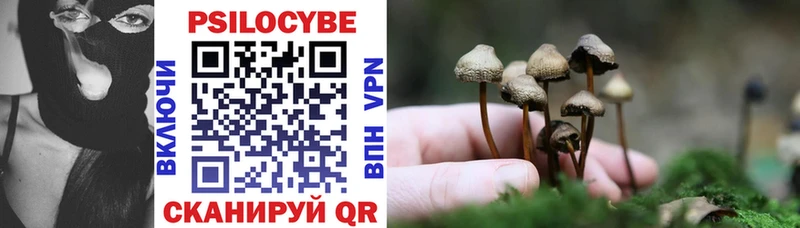 Галлюциногенные грибы Cubensis  Брянск 